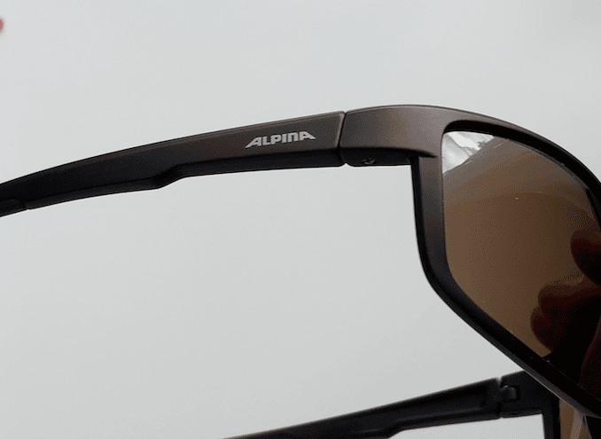 Alpina Defey Fahrradbrille im Test
