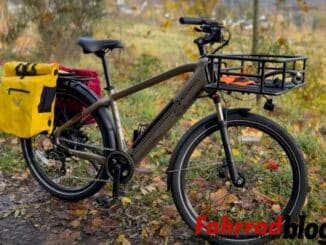 Mokwheel Asphalt E-Bike im Test Waldfahrt